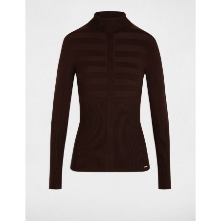 Pull col roulé ajusté marron femme